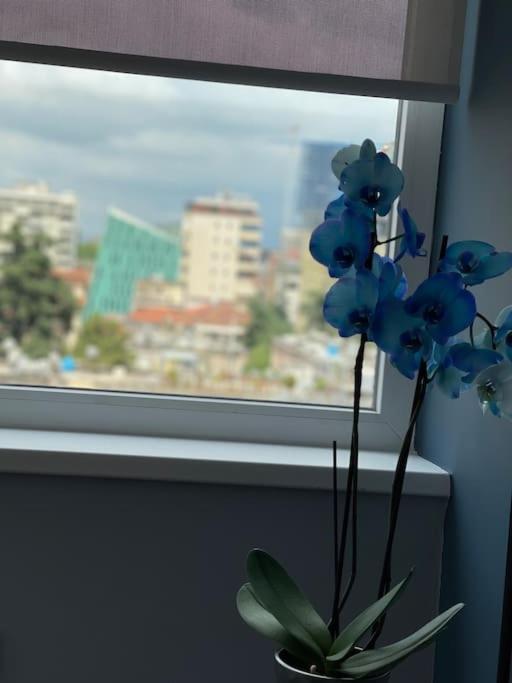 티라나 Voyage Penthouse 아파트 외부 사진